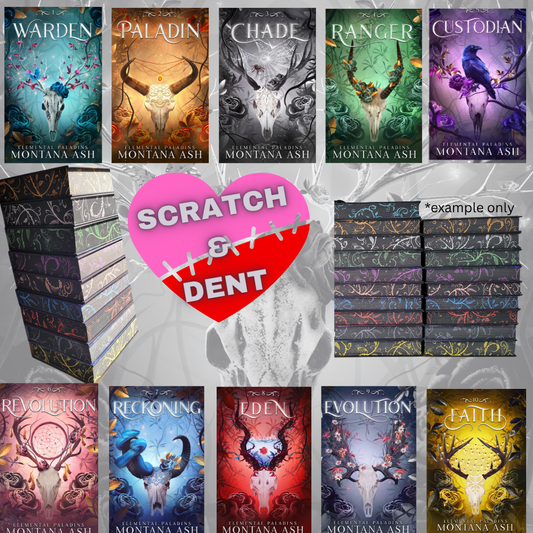 The Elemental Paladins Box Set (Scratch and Dent Edition)