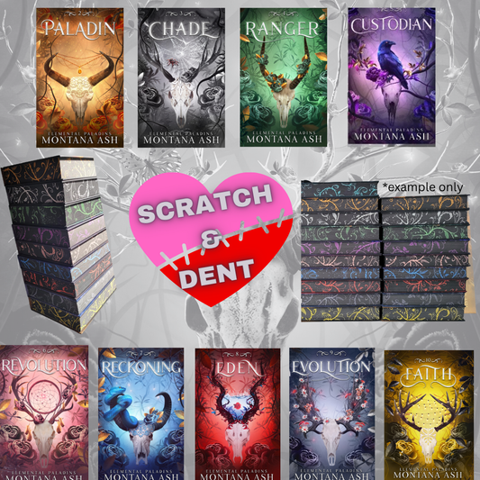 Elemental Paladins Nine Book Set (Scratch and Dent Edition)
